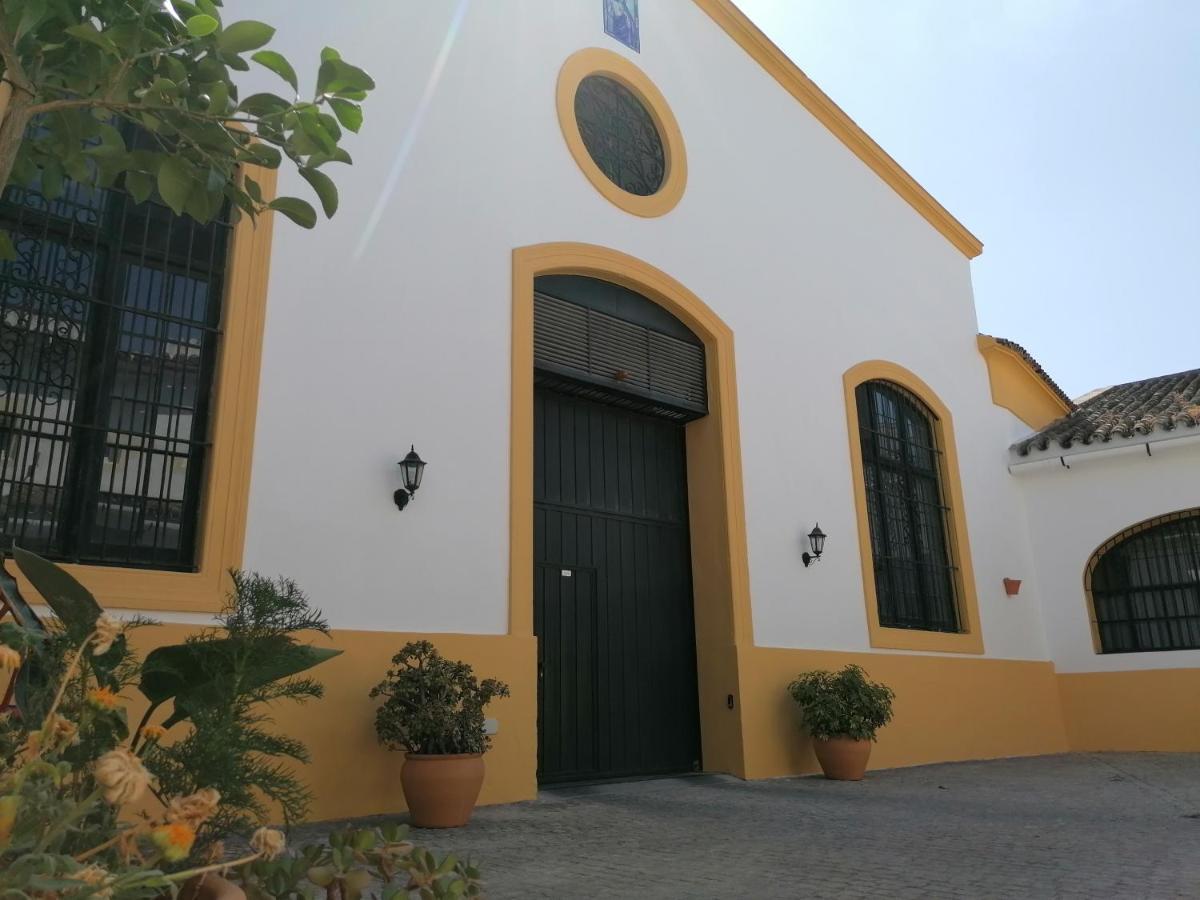 Appartement Entre Bodegas Jerez à Jerez de la Frontera Extérieur photo